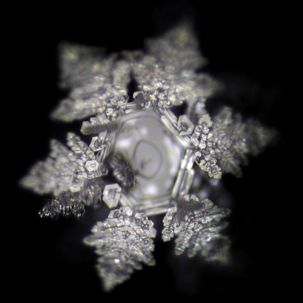water crystal on Flow Disc 1)