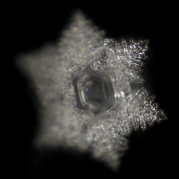 water crystal on Flow Disc 2)