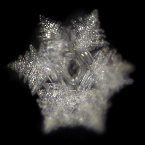 water crystal on Flow Disc 3)